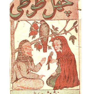 خرید و دانلود نسخه کامل کتاب چهل طوطی