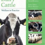 خرید و دانلود نسخه کامل کتاب Dairy Cattle Welfare in Practice