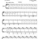 خرید و دانلود نسخه کامل کتاب Danse Macabre. op.40