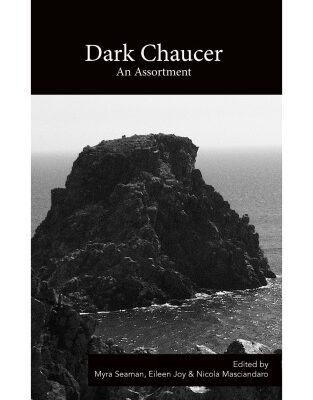 خرید و دانلود نسخه کامل کتاب Dark Chaucer