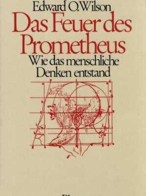 خرید و دانلود نسخه کامل کتاب Das Feuer des Prometheus: Wie das menschliche Denken entstand [Promethean Fire: Reflections on the Origin of Mind]
