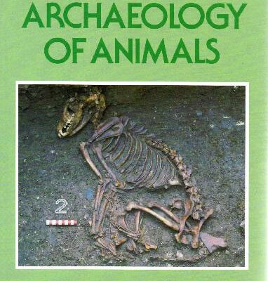 خرید و دانلود نسخه کامل کتاب Davis – The Archaeology of Animals