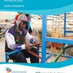 خرید و دانلود نسخه کامل کتاب De la innovación al escalamiento: reflexiones a partir de dos procesos de innovación local