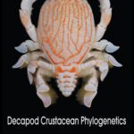 خرید و دانلود نسخه کامل کتاب Decapod Crustacean Phylogenetics (Crustacean Issues)