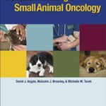 خرید و دانلود نسخه کامل کتاب Decision Making in Small Animal Oncology