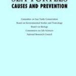 خرید و دانلود نسخه کامل کتاب Decline of the Sea Turtles : Causes and Prevention.