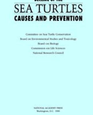 خرید و دانلود نسخه کامل کتاب Decline of the Sea Turtles : Causes and Prevention.