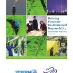 خرید و دانلود نسخه کامل کتاب Defining CSR