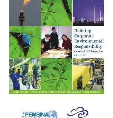 خرید و دانلود نسخه کامل کتاب Defining CSR