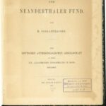 خرید و دانلود نسخه کامل کتاب Der Neanderthaler [Neandertaler] Fund