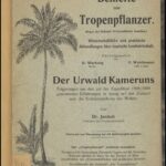 خرید و دانلود نسخه کامل کتاب Der Urwald Kameruns ; Folgerungen aus den auf der Expedition 1908/1909 gewonnenen Erfahrungen in bezug auf den Zustand und die Nutzbarmachung des Waldes