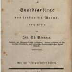 خرید و دانلود نسخه کامل کتاب Der Weinbau am Haardtgebirge von Landau bis Worms