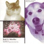 خرید و دانلود نسخه کامل کتاب Dermatology for the Small Animal Practitioner (Made Easy Series)