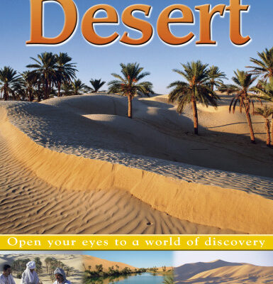 خرید و دانلود نسخه کامل کتاب Desert