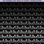 خرید و دانلود نسخه کامل کتاب Designing Our Descendants. The Promises and Perils of Genetic Modifications