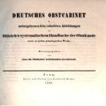 خرید و دانلود نسخه کامل کتاب Deutsches Obstcabinet in naturgetreuen fein kolorierten Abbildungen zu Dittrichs systematischem Handbuche der Obstkunde sowie zu jedem pomologischen Werk