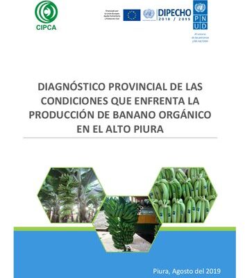 خرید و دانلود نسخه کامل کتاب Diagnóstico provincial de las condiciones que enfrenta la produccion de banano orgánico en el Alto Piura (Morropón, Piura)