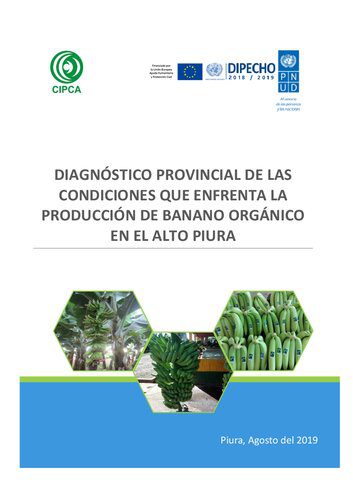 خرید و دانلود نسخه کامل کتاب Diagnóstico provincial de las condiciones que enfrenta la produccion de banano orgánico en el Alto Piura (Morropón, Piura)_68e98880e7774.jpeg خرید و دانلود نسخه کامل کتاب Diagnóstico provincial de las condiciones que enfrenta la produccion de banano orgánico en el Alto Piura (Morropón, Piura)