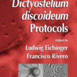 خرید و دانلود نسخه کامل کتاب Dictyostelium discoideum Protocols (Methods in Molecular Biology Vol 346)