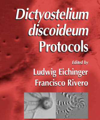 خرید و دانلود نسخه کامل کتاب Dictyostelium discoideum Protocols (Methods in Molecular Biology Vol 346)