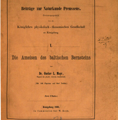 خرید و دانلود نسخه کامل کتاب Die Ameisen des baltischen Bernsteins
