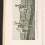 خرید و دانلود نسخه کامل کتاب Die Baumwolle. Ihre Kultur, Ernte, Verarbeitung und der internationale Baumwollhandel nach “Cotton”, unter besonderer Berücksichtigung der deutschen Kolonien als baumwollproduzierendes Land übersetzt und bearbeitet