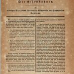 خرید و دانلود نسخه کامل کتاب Die Eisenbahnen : Ein wichtiger Gegenstand finanzieller Ersparnisse und finanziellen Gewinns