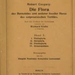 خرید و دانلود نسخه کامل کتاب Die Flora des Bernsteins und anderer fossiler Harze des ostpreufsischen Tertiärs