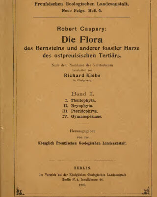 خرید و دانلود نسخه کامل کتاب Die Flora des Bernsteins und anderer fossiler Harze des ostpreufsischen Tertiärs