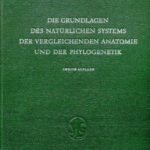 خرید و دانلود نسخه کامل کتاب Die Grundlagen des natuerlichen Systems, der vergleichenden Anatomie und der Phylogenetik. Leipzig