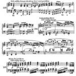 خرید و دانلود نسخه کامل کتاب Die Meistersinger von Nürnberg (клавир)