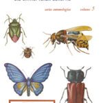 خرید و دانلود نسخه کامل کتاب Die Orthopteren Europas / The Orthoptera of Europe: Volume I