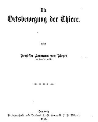 خرید و دانلود نسخه کامل کتاب Die Ortsbewegung der Tiere