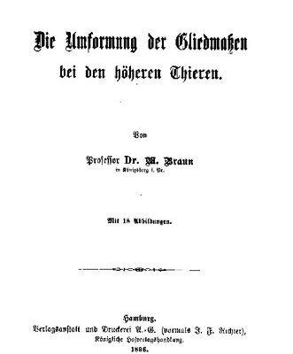 خرید و دانلود نسخه کامل کتاب Die Umformung der Gliedmaßen bei den höheren Tieren