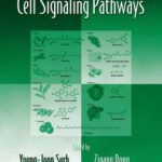 خرید و دانلود نسخه کامل کتاب Dietary Modulation of Cell Signaling Pathways (Oxidative Stress and Disease)