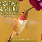 خرید و دانلود نسخه کامل کتاب Digital Nature Photography: The Art and the Science