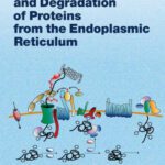 خرید و دانلود نسخه کامل کتاب Dislocation and Degradation of Proteins from the Endoplasmic Reticulum (Current Topics in Microbiology and Immunology)