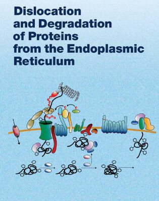 خرید و دانلود نسخه کامل کتاب Dislocation and Degradation of Proteins from the Endoplasmic Reticulum (Current Topics in Microbiology and Immunology)