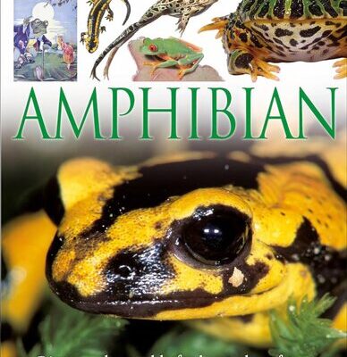 خرید و دانلود نسخه کامل کتاب DK Eyewitness Books: Amphibian