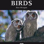 خرید و دانلود نسخه کامل کتاب DK Guide to Birds