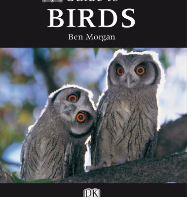 خرید و دانلود نسخه کامل کتاب DK Guide to Birds