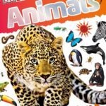 خرید و دانلود نسخه کامل کتاب DKfindout! Animals