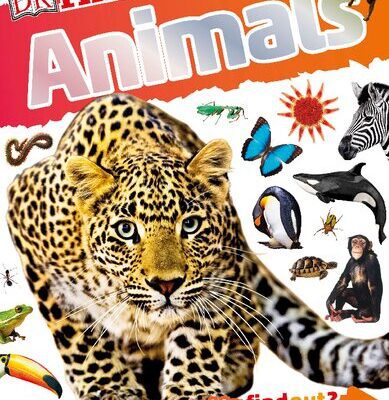 خرید و دانلود نسخه کامل کتاب DKfindout! Animals