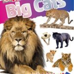 خرید و دانلود نسخه کامل کتاب DKfindout! Big Cats