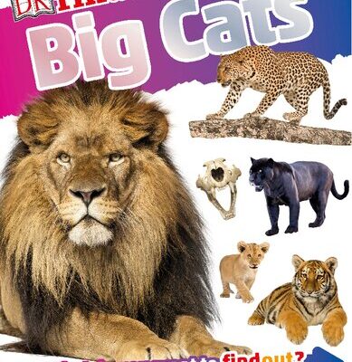 خرید و دانلود نسخه کامل کتاب DKfindout! Big Cats