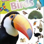 خرید و دانلود نسخه کامل کتاب DKfindout! Birds