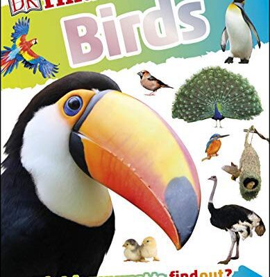 خرید و دانلود نسخه کامل کتاب DKfindout! Birds