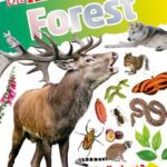 خرید و دانلود نسخه کامل کتاب DKfindout! Forest