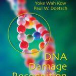 خرید و دانلود نسخه کامل کتاب DNA Damage Recognition