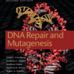 خرید و دانلود نسخه کامل کتاب DNA repair and mutagenesis